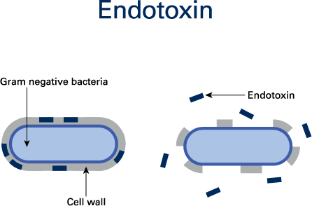 Contec_Endotoxin_Diagram